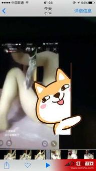 主播琪琪在线观看视频,热门视频背后的精彩瞬间 第1张 主播琪琪在线观看视频,热门视频背后的精彩瞬间 第1张